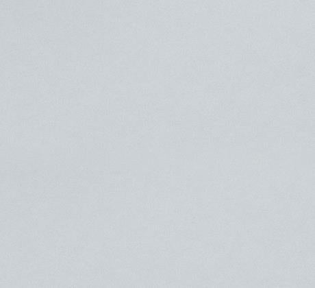 Moquette Gris clair