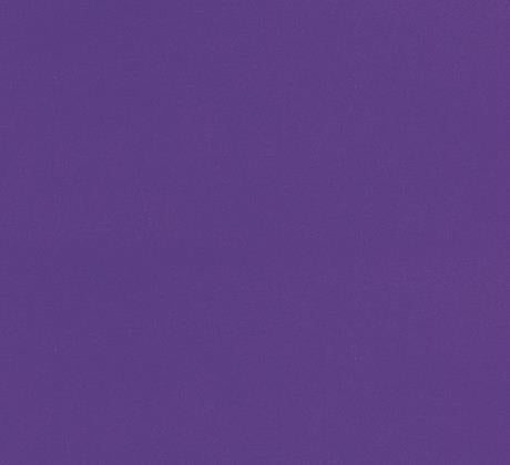 Moquette Violet