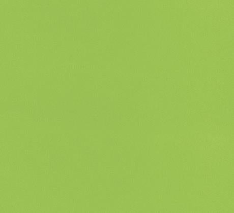 Moquette Vert clair