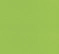 Moquette Vert clair
