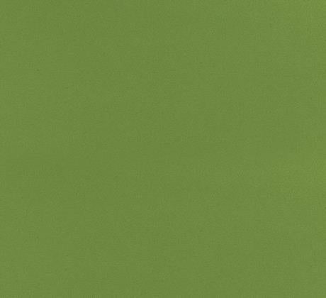 Moquette Vert olive