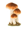 3 champignons brun