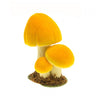 3 champignons jaunes
