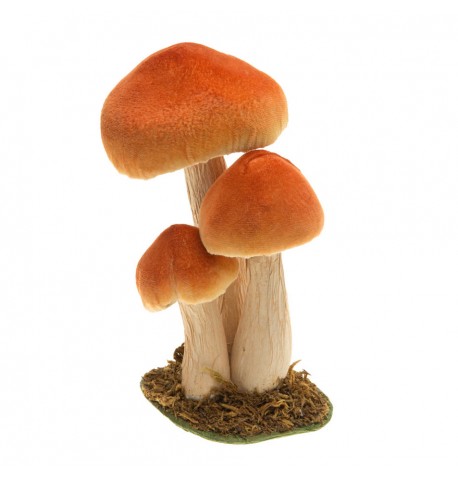 3 champignons orange