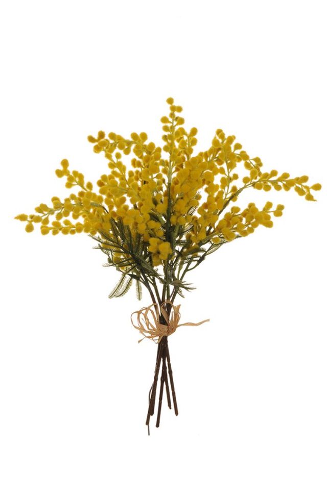 5 BRANCHES DE MIMOSA