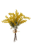 5 BRANCHES DE MIMOSA