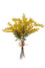5 BRANCHES DE MIMOSA