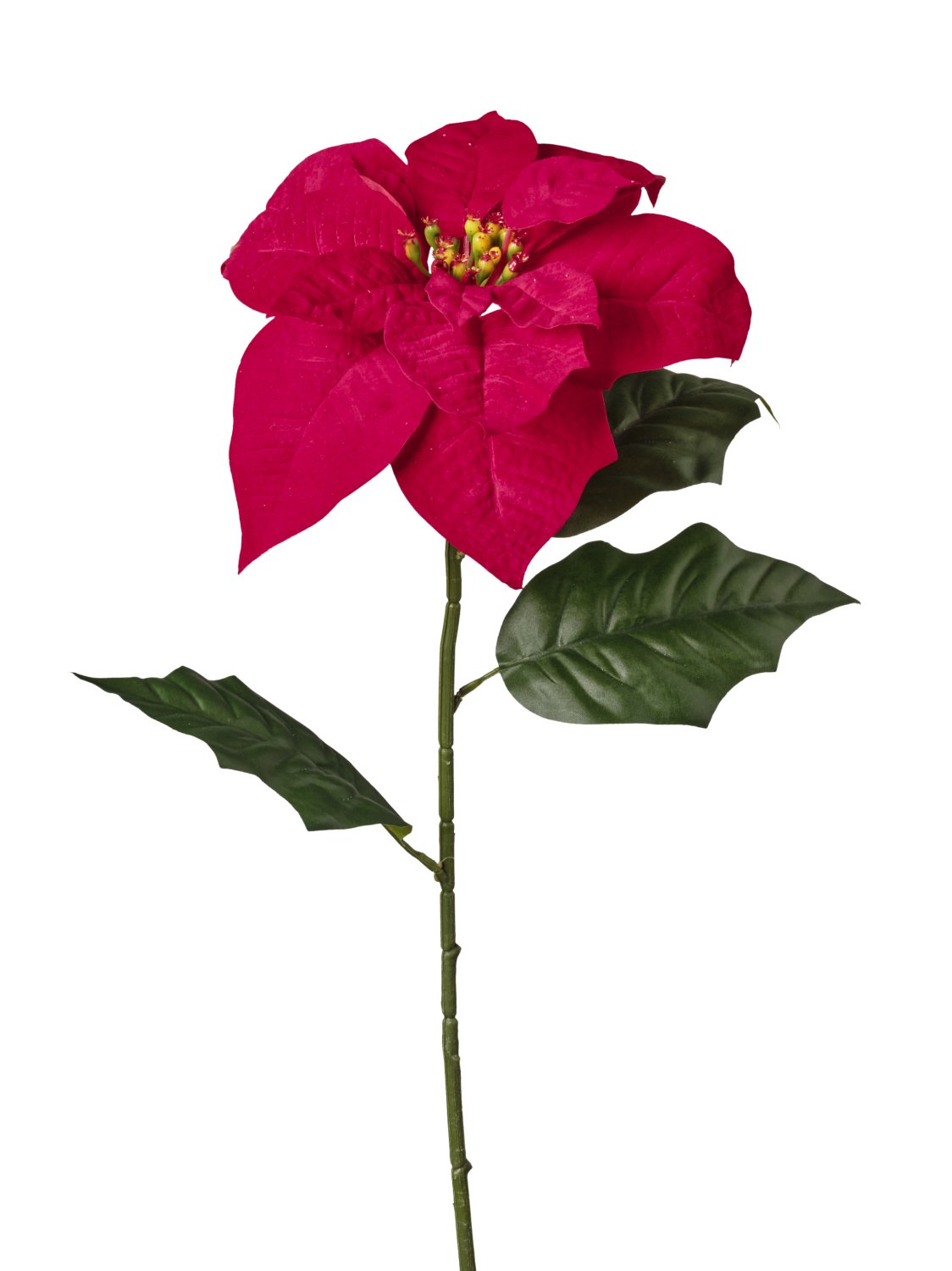 6 tiges de poinsettia Rouge