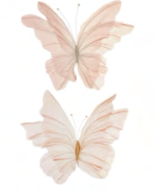Papillon en nylon lot de 2