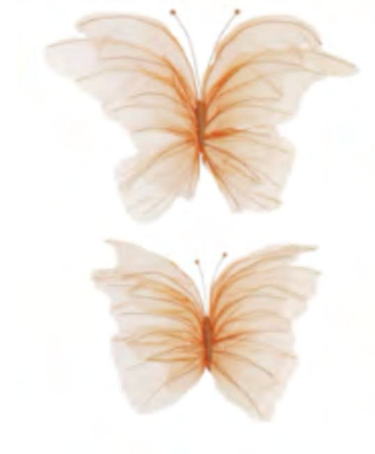 Papillon en nylon lot de 2