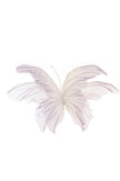 Papillon en nylon