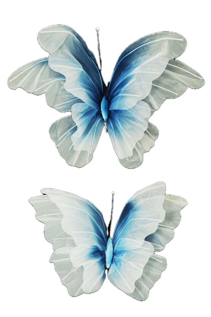 Papillon en nylon lot de 2