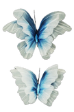 Papillon en nylon lot de 2