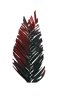 Areca Cut