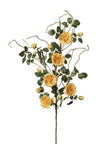 Branche de Rosier