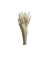 Blé