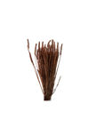 Blé