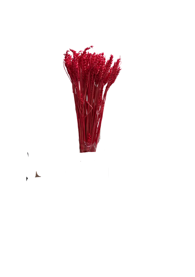 Blé
