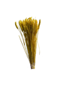 Blé