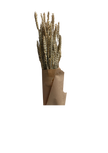 Blé