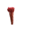 Blé