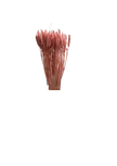 Blé