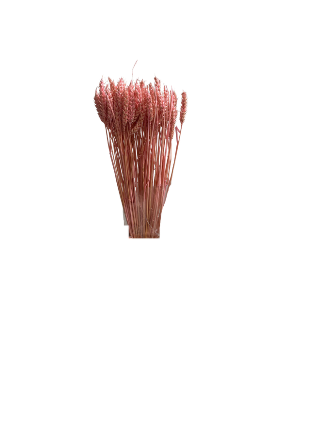 Blé