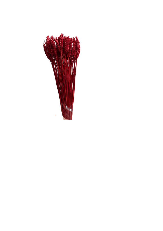 Blé