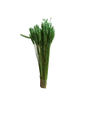 Blé