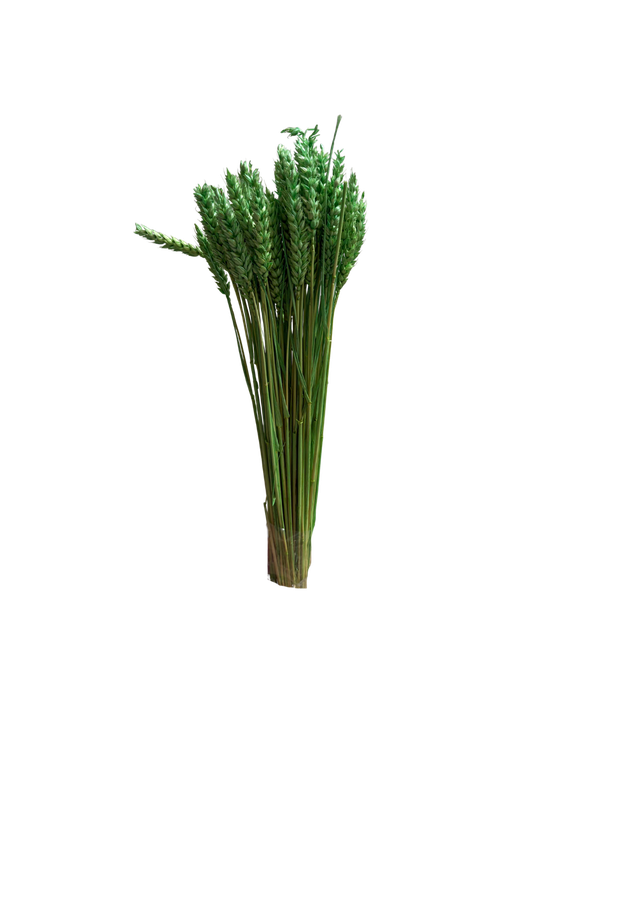 Blé