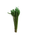 Blé