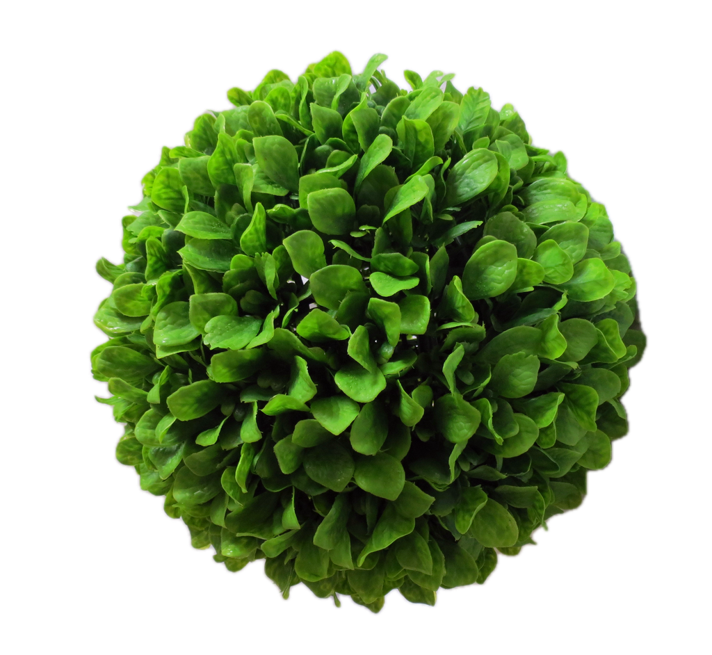 Boule paniculata