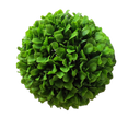 Boule paniculata
