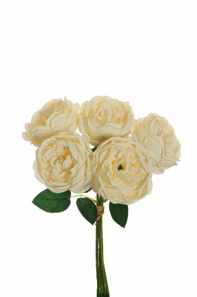 Bouquet de 5 roses