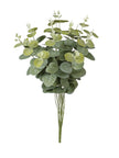 Bouquet de eucalyptus