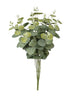 Bouquet de eucalyptus