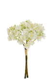 Bouquet de saponaria