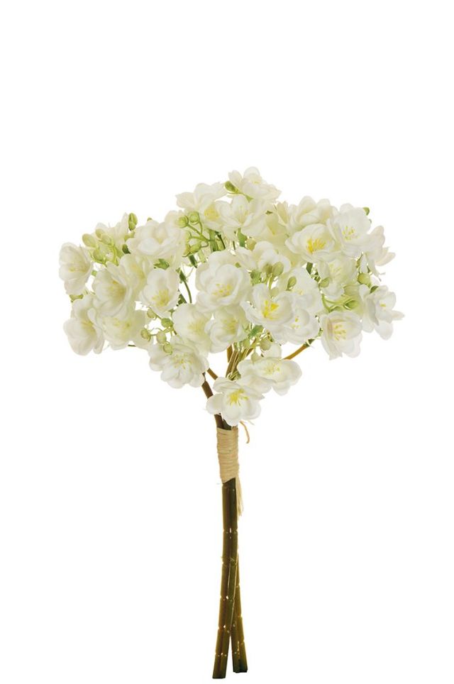 Bouquet de saponaria