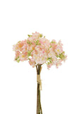 Bouquet de saponaria
