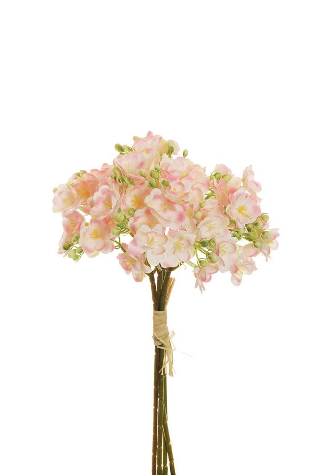 Bouquet de saponaria