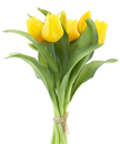 Bouquet de tulipe