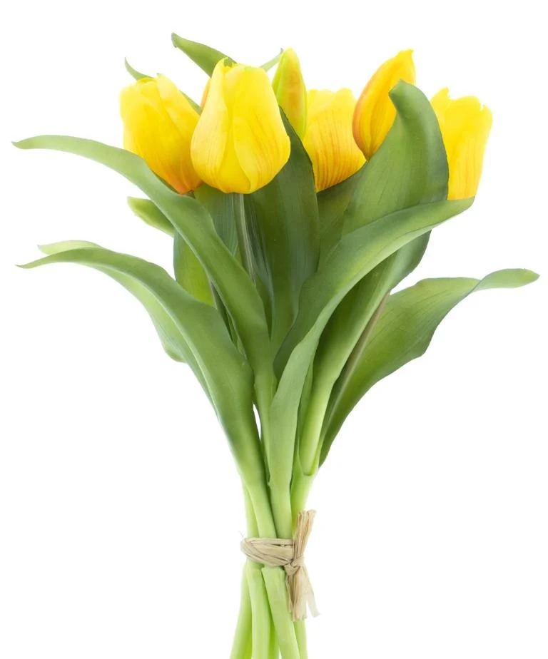 Bouquet de tulipe