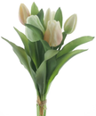 Bouquet de tulipe
