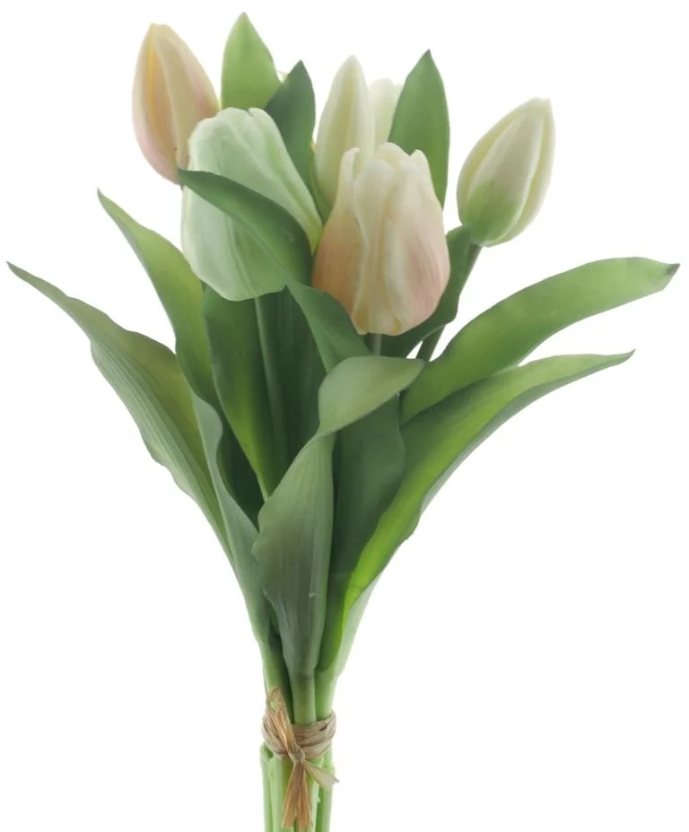 Bouquet de tulipe