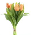 Bouquet de tulipe