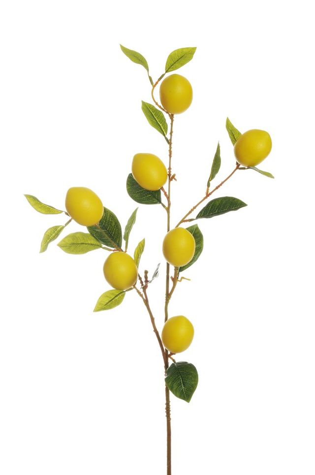 Branche de 7 citrons