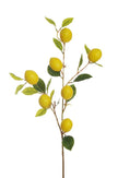 Branche de 7 citrons