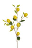 Branche de 7 citrons