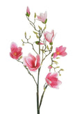 Branche de Magnolia XL