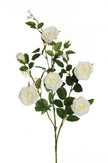 Branche de Rose